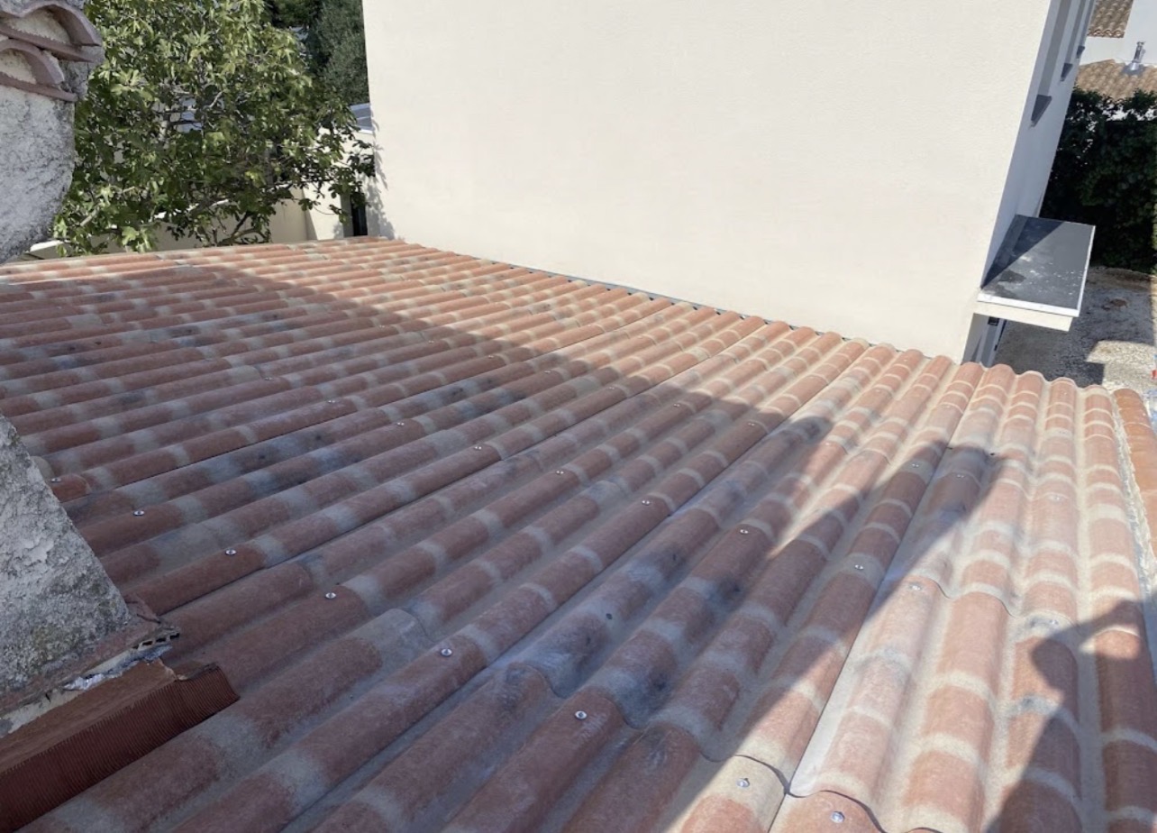 versant de toiture envahi par la mousse avant traitement